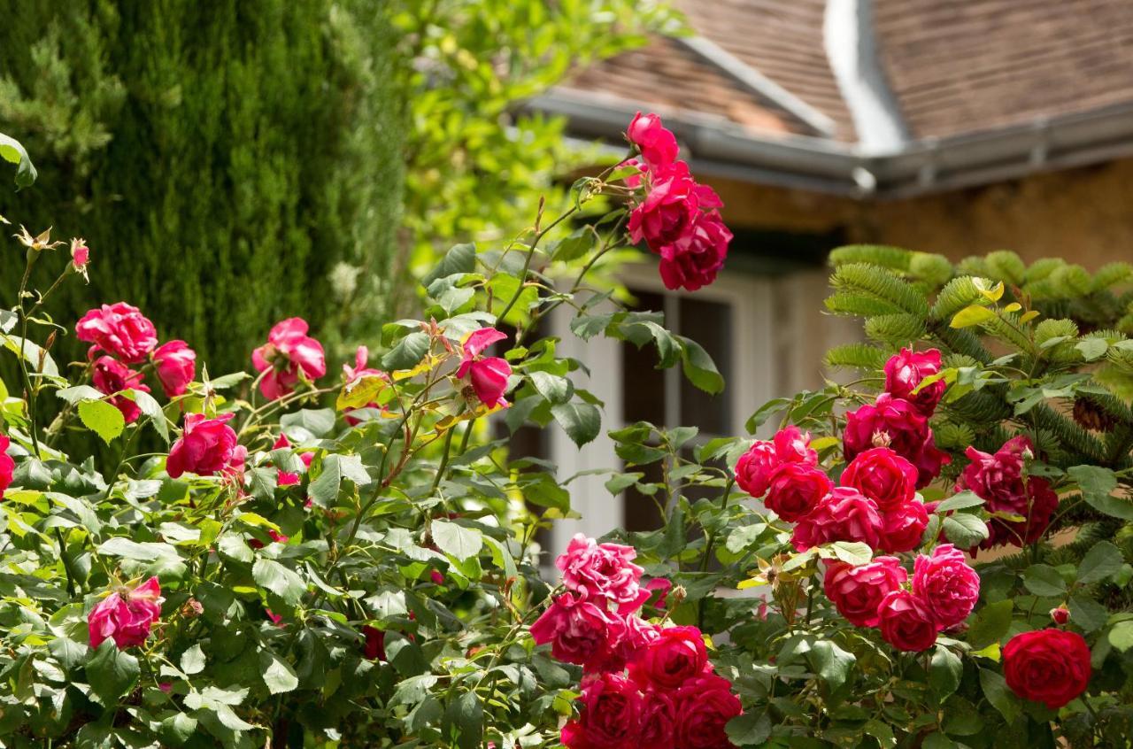 Hotel La Roseraie Chenonceaux Exterior photo